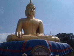 Die goldene sitzende Statue des Buddha am Berg Khao Takiap 