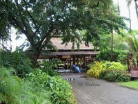 Der Flughafen von Koh Samui ein Erlebniss
