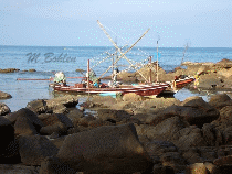 koh samui urlaub