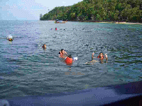 Schwimmen vor_Phiphi aus dem Speedboat