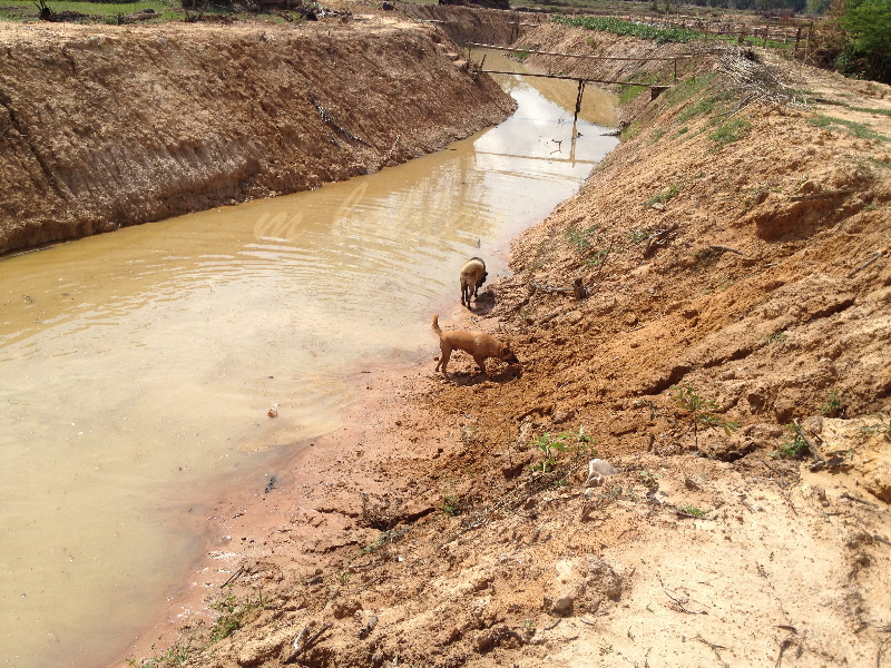 Sisaket Fluss 2013
