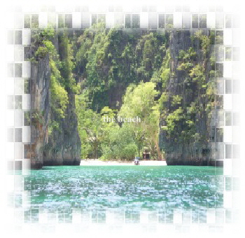the beach